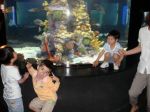 aquarium kyeongmin2